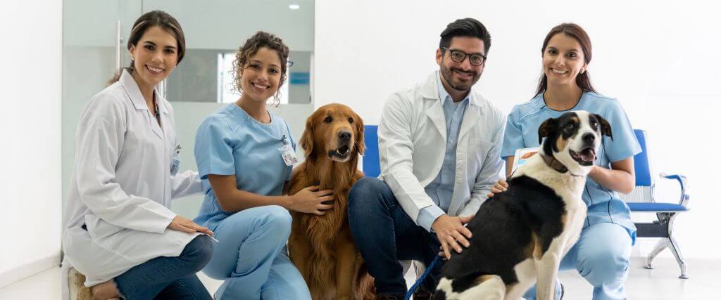 A Veterinarian's Role In The One Health Perspective